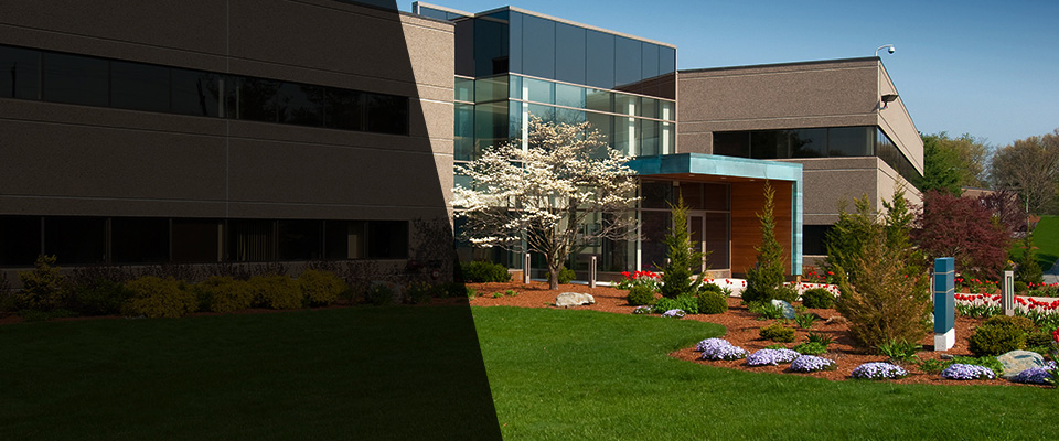 Richmond Landscapers