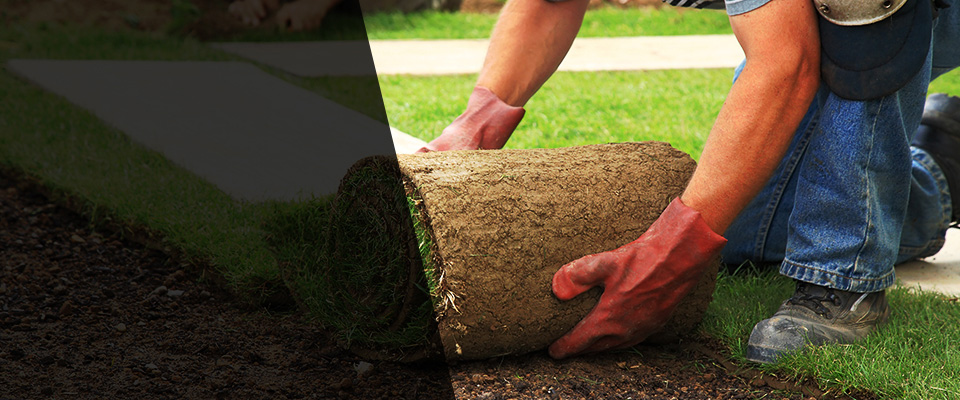 Richmond Landscapers